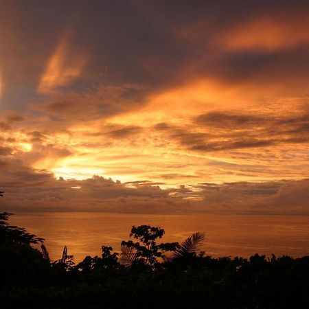 Villa Vista Hermosa - With Breathtaking Ocean View & Wifi Quepos Bagian luar foto