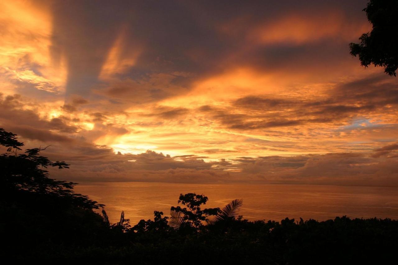 Villa Vista Hermosa - With Breathtaking Ocean View & Wifi Quepos Bagian luar foto